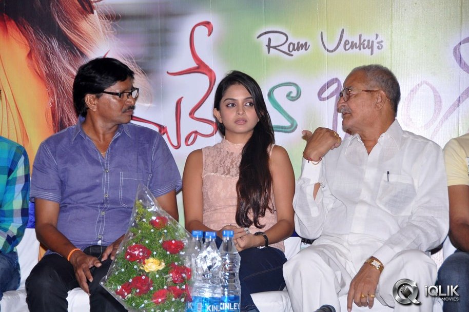 Nuvve-Naa-Bangaram-Movie-Logo-Launch